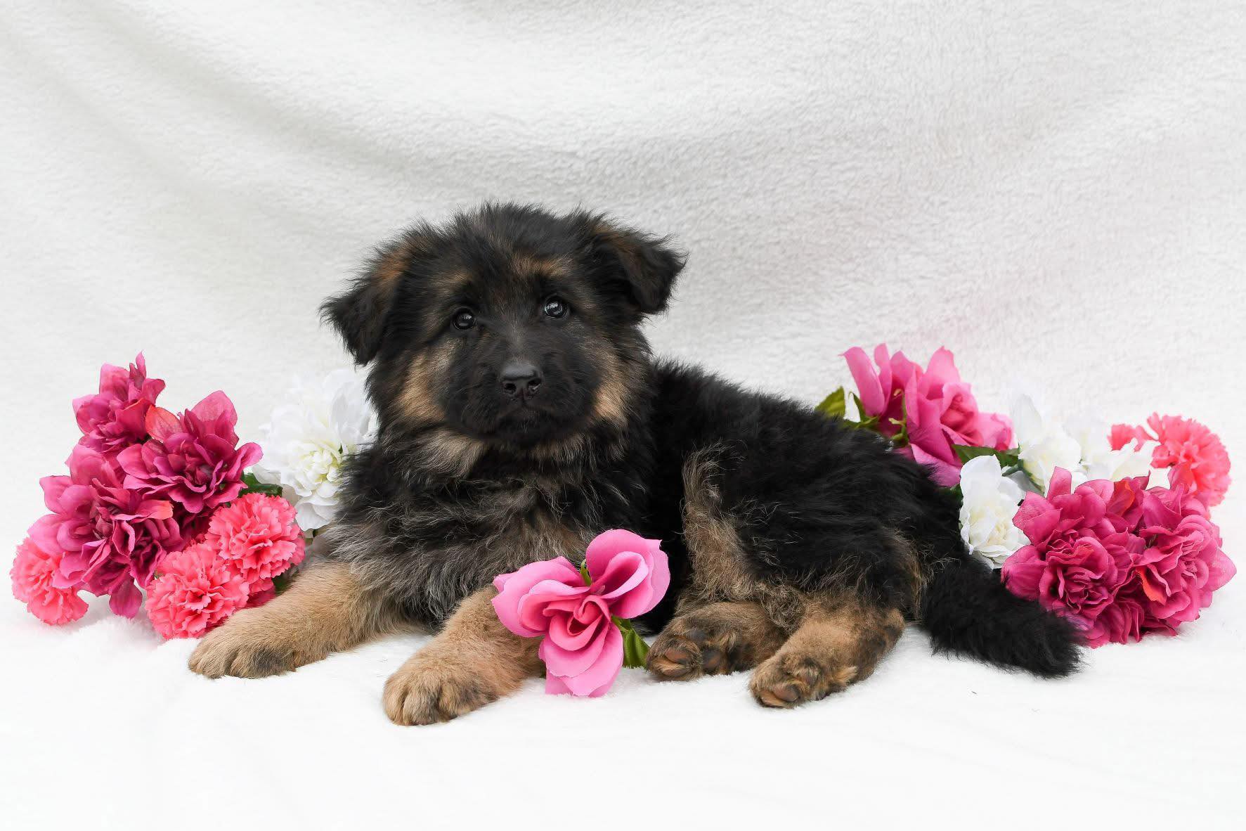 received_1101164845497853