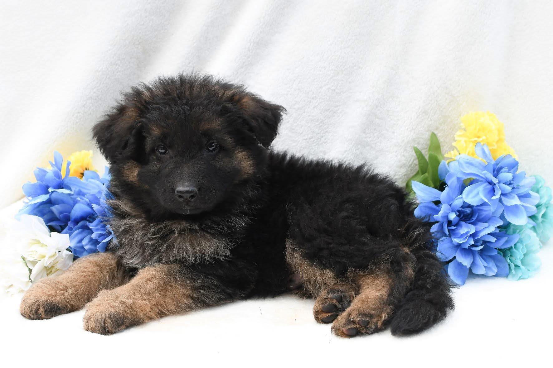 received_1133791361432763