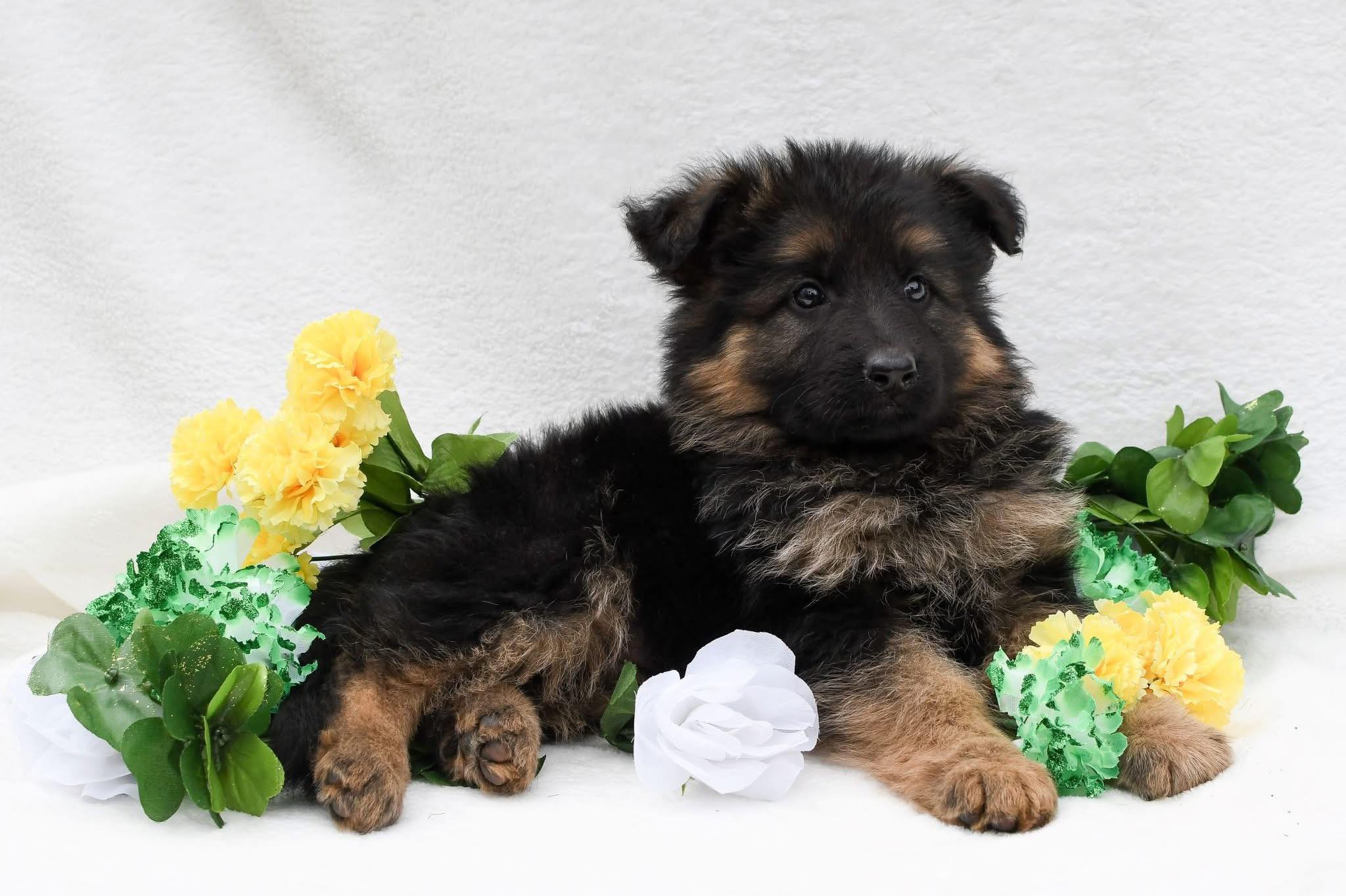 received_1798430144105083